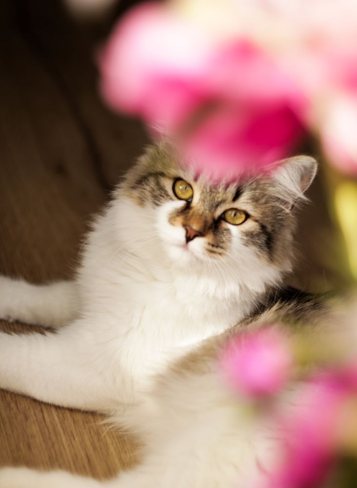 Photograph by Elena Kilina