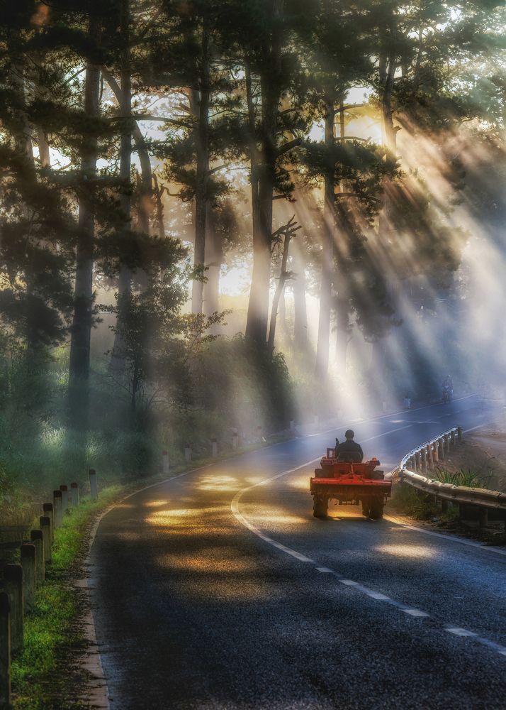 Фотография автора NGUYEN HOANG GIANG