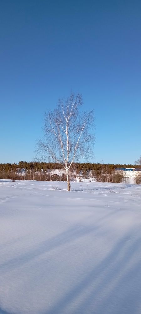 Photograph by Nadezda Ivanova