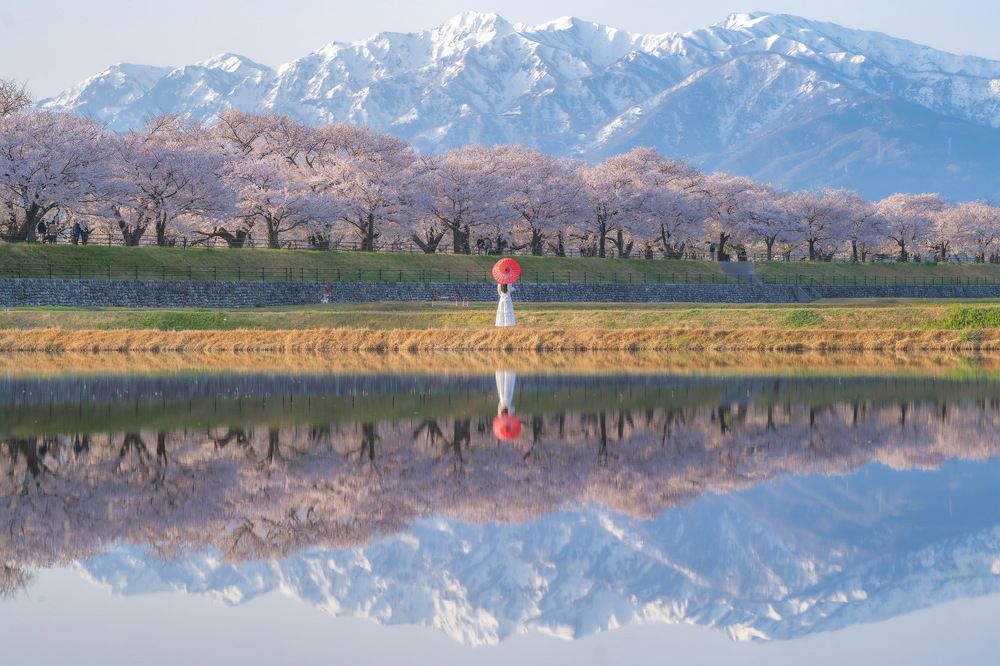 Фотография автора Lý Đình Thắng