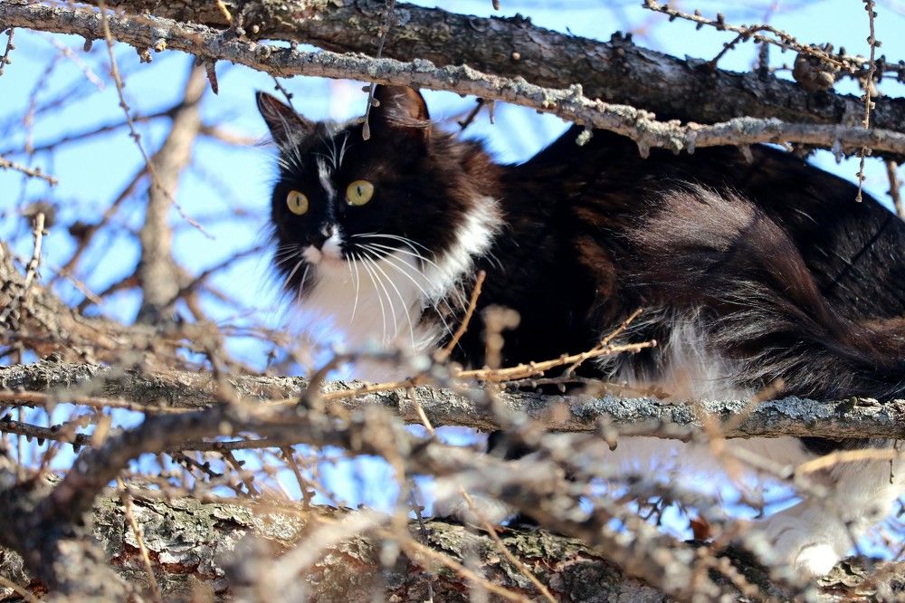 Photograph by Галина Мазур