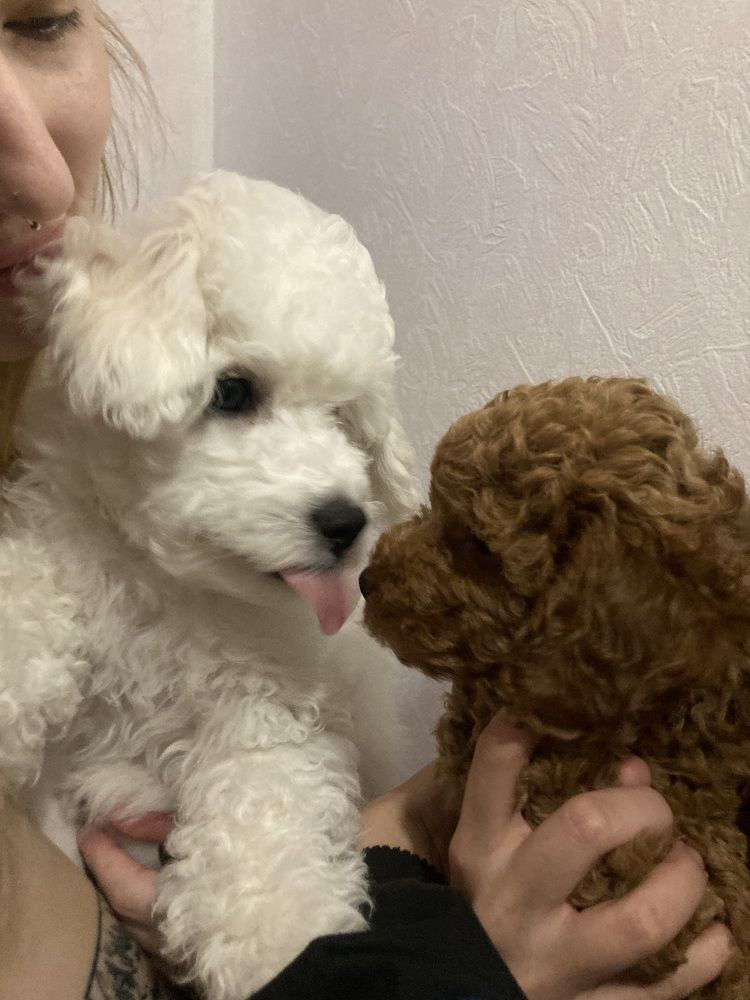 Photograph by Виктория Мисюрина