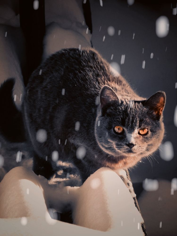 Photograph by Наталья Лищинская