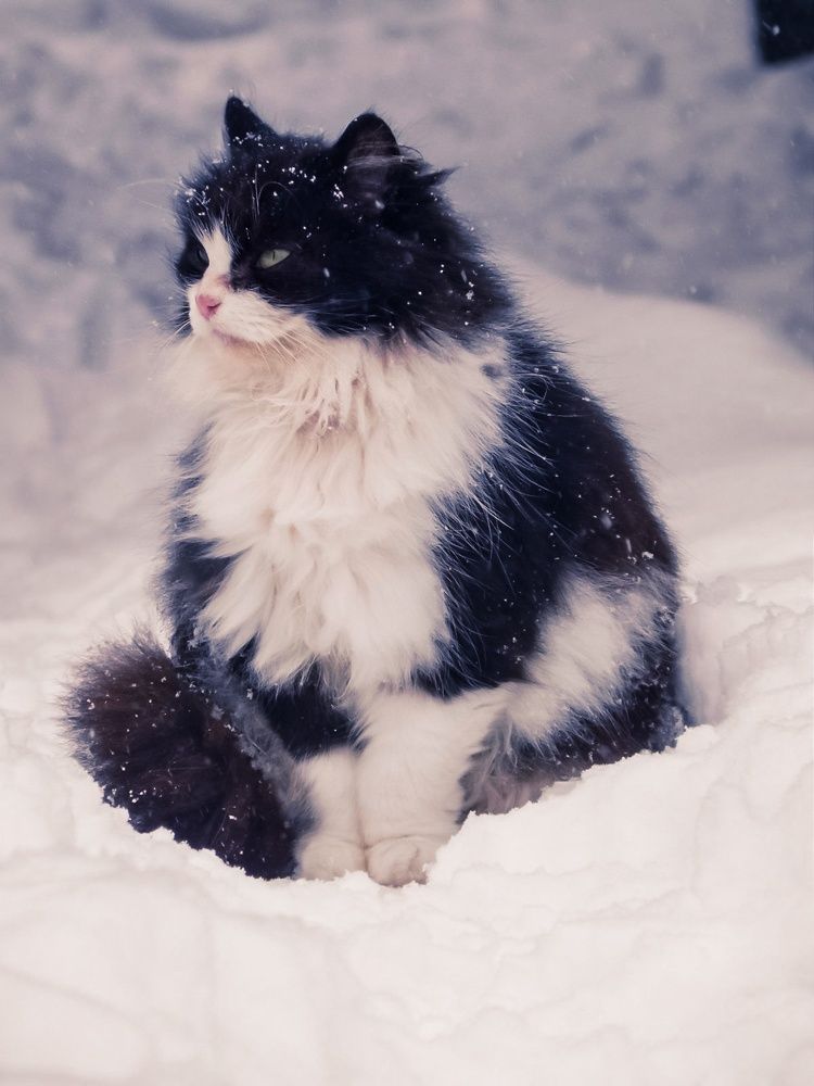 Photograph by Наталья Лищинская