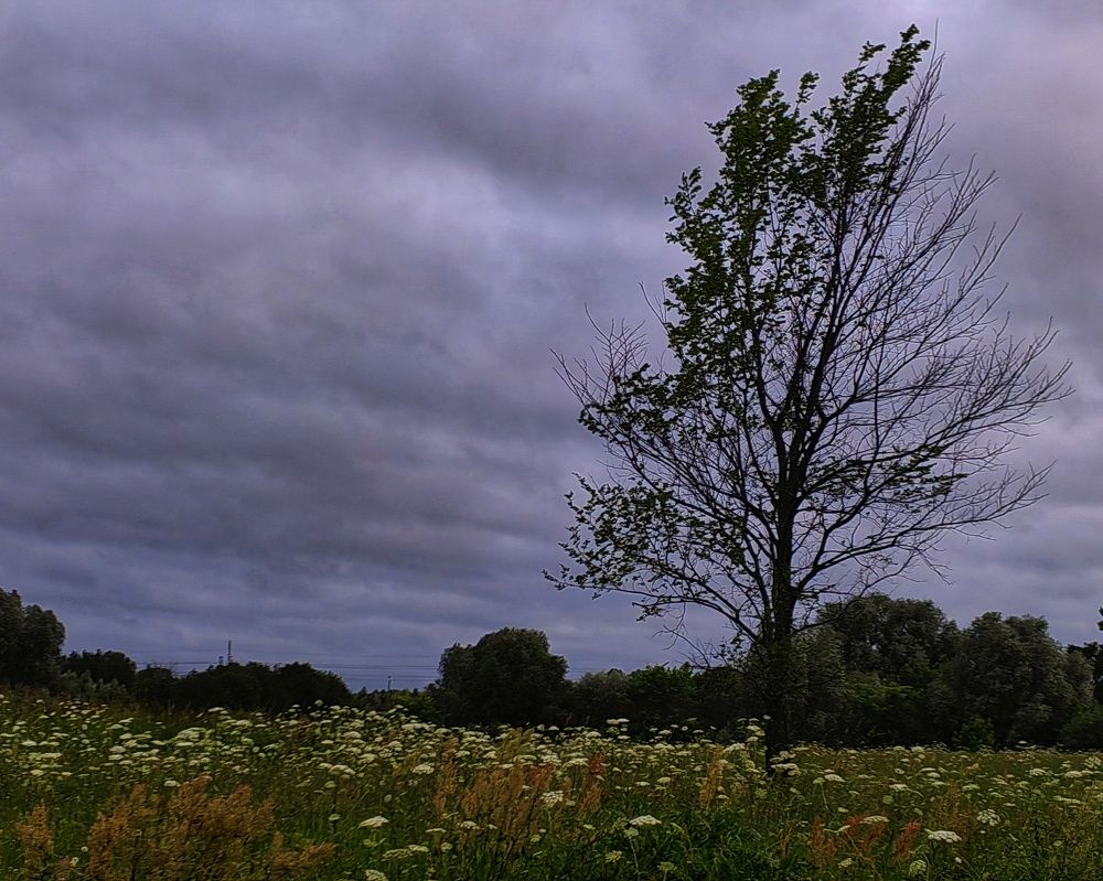 Photograph by Ольга Третьякова