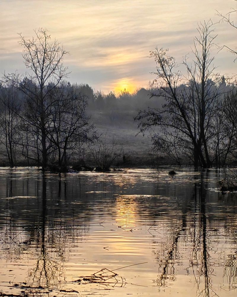 Photograph by Ольга Третьякова