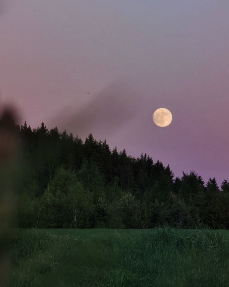 Photograph by Ольга Третьякова