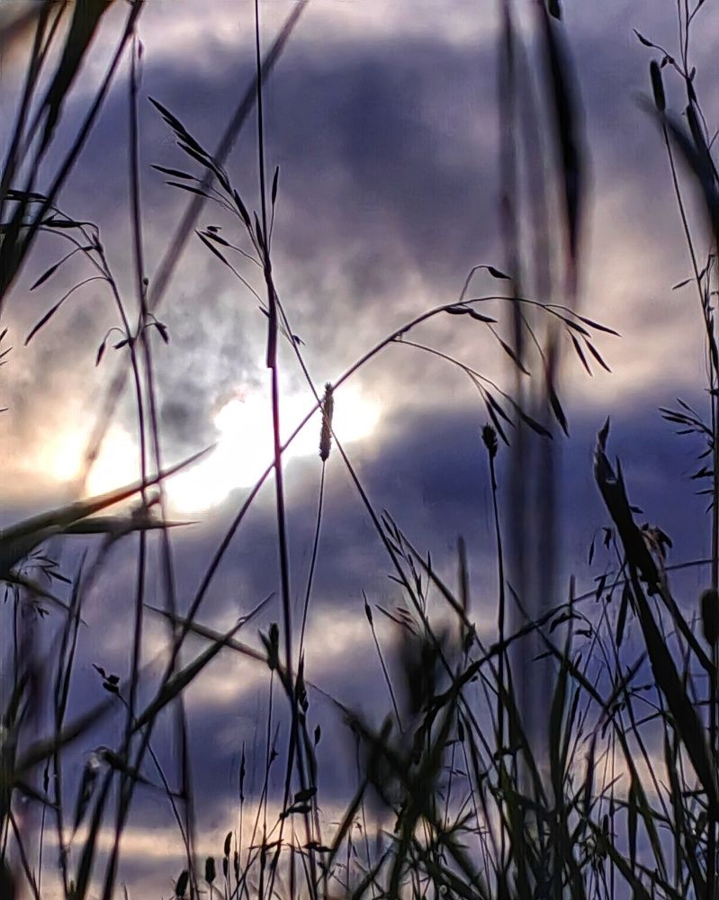 Photograph by Ольга Третьякова