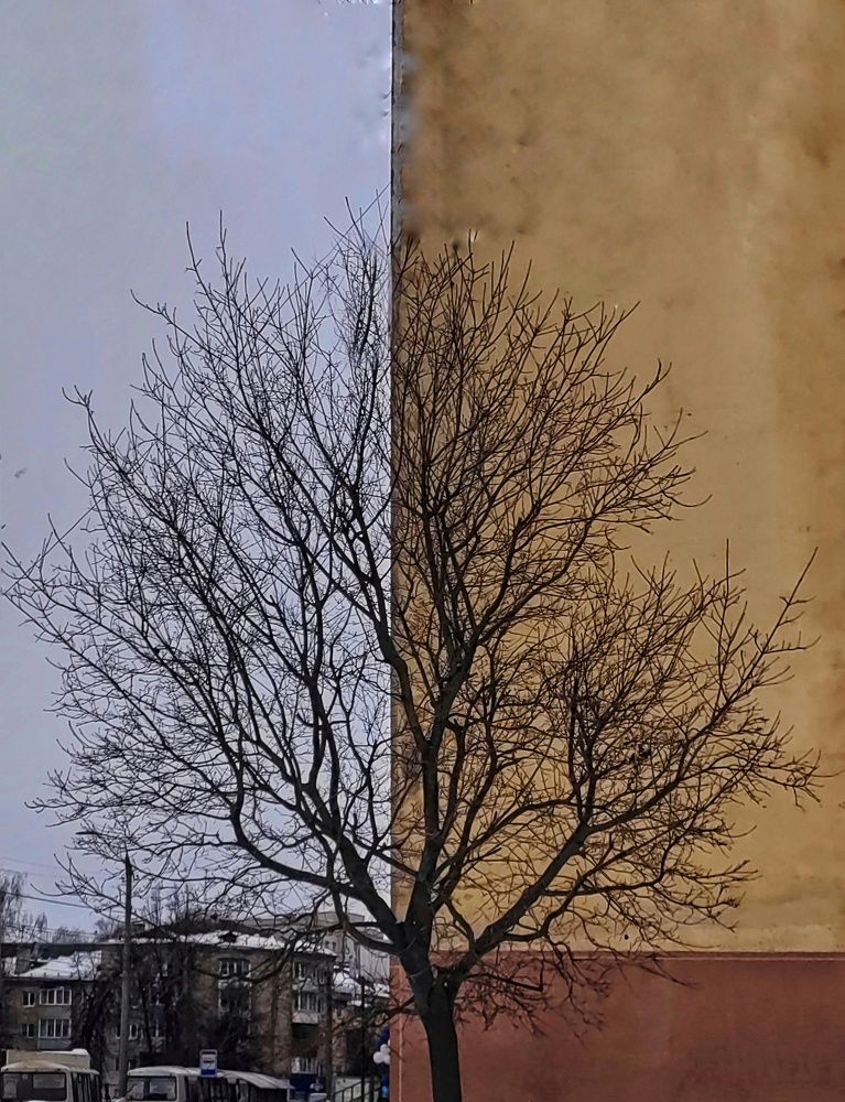 Photograph by Ольга Третьякова