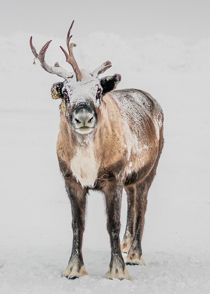 Фотография автора Konstantin Shendel