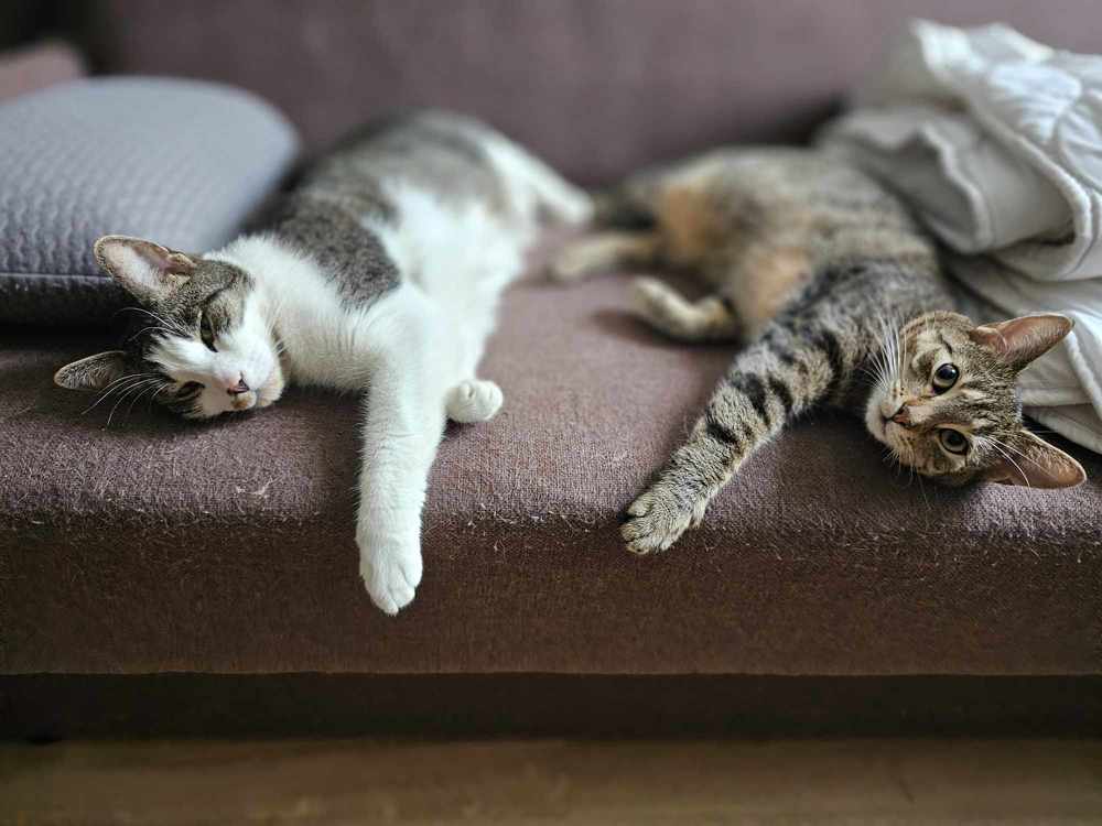 Photograph by Żółtowska Karolina