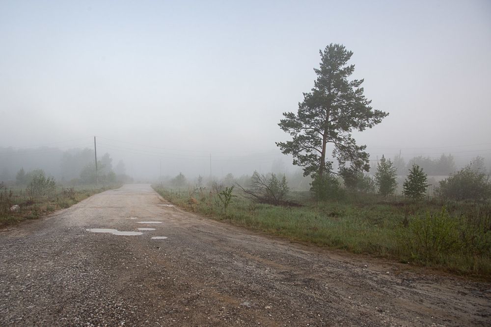 Photograph by Ирина Яук