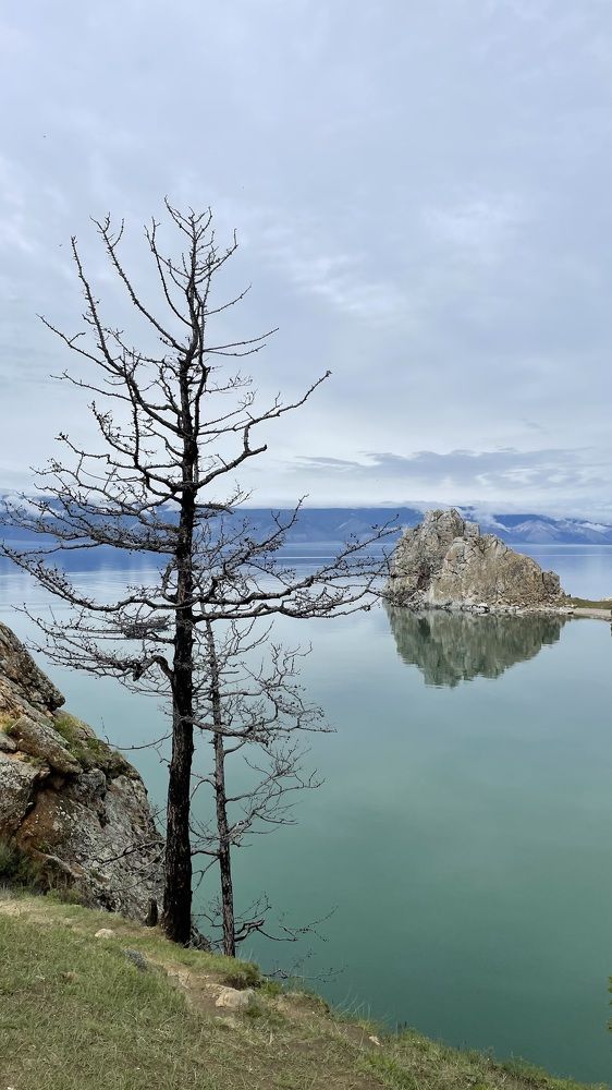 Photograph by Елена Секрет