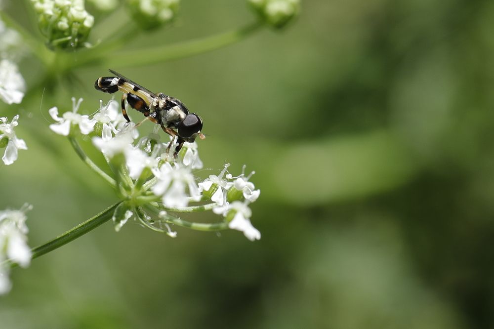 Photograph by Уктам Джалалов