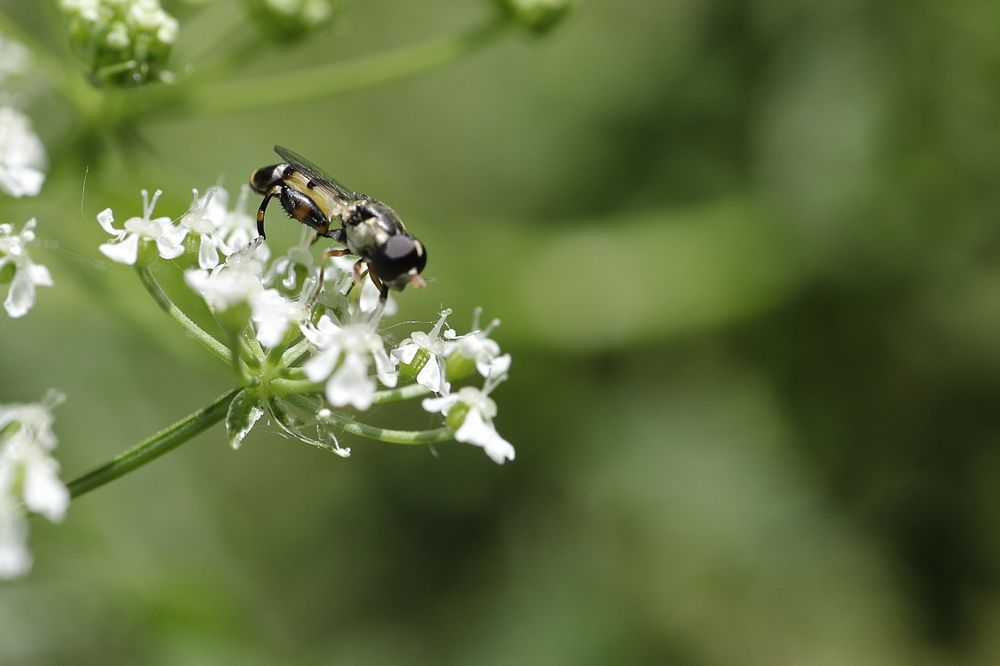 Photograph by Уктам Джалалов