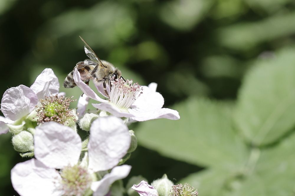 Photograph by Уктам Джалалов