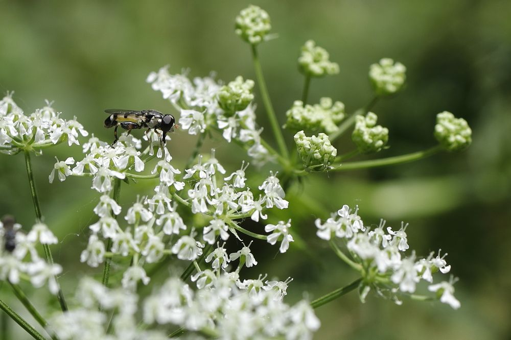 Photograph by Уктам Джалалов