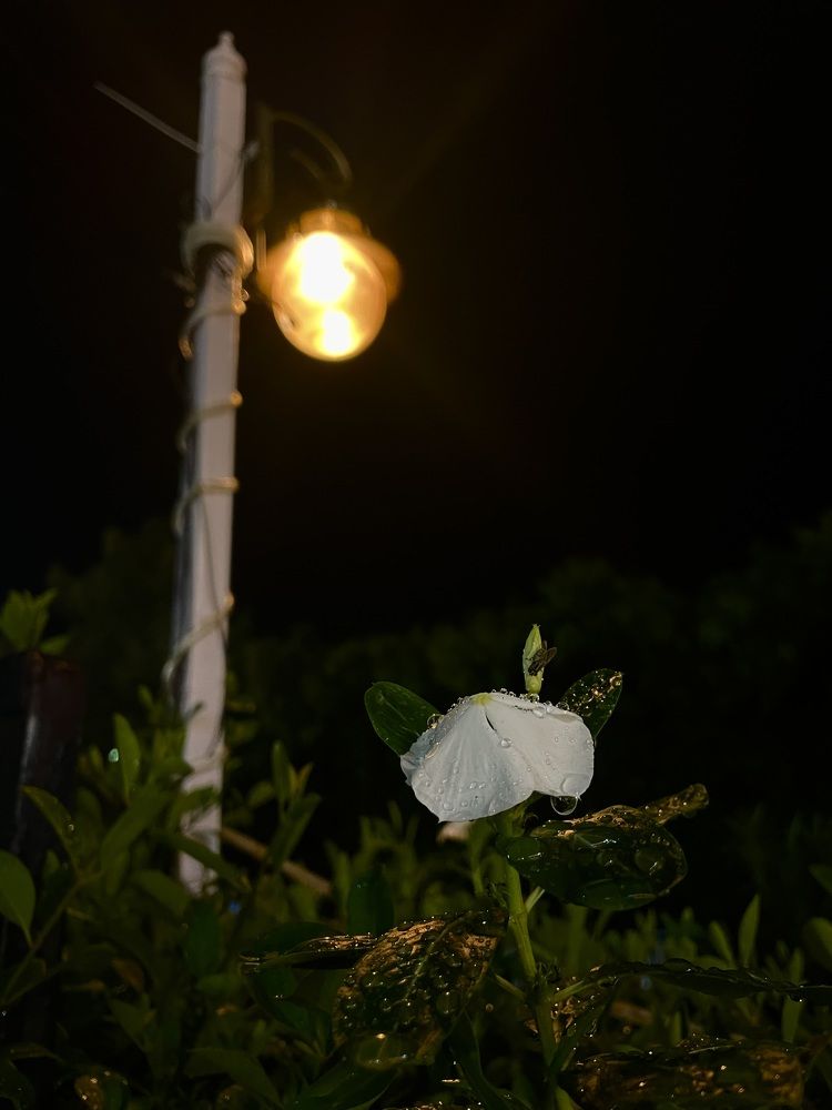 Photograph by Deepti Arya