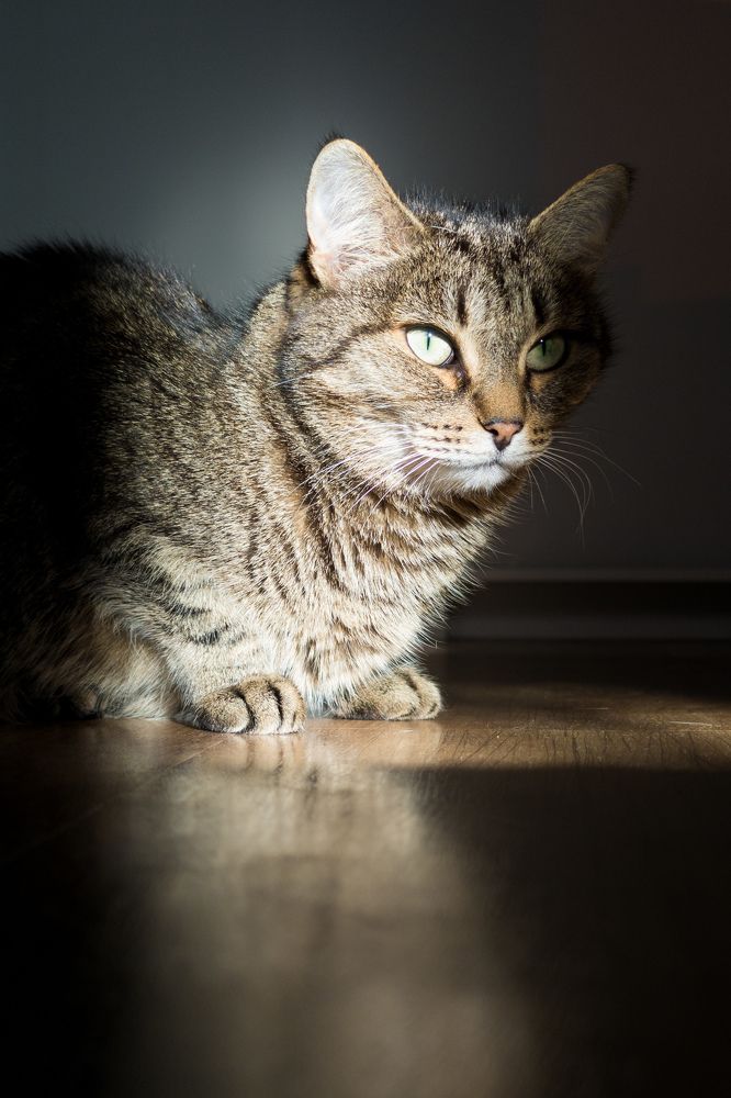 Photograph by Константин Пешков