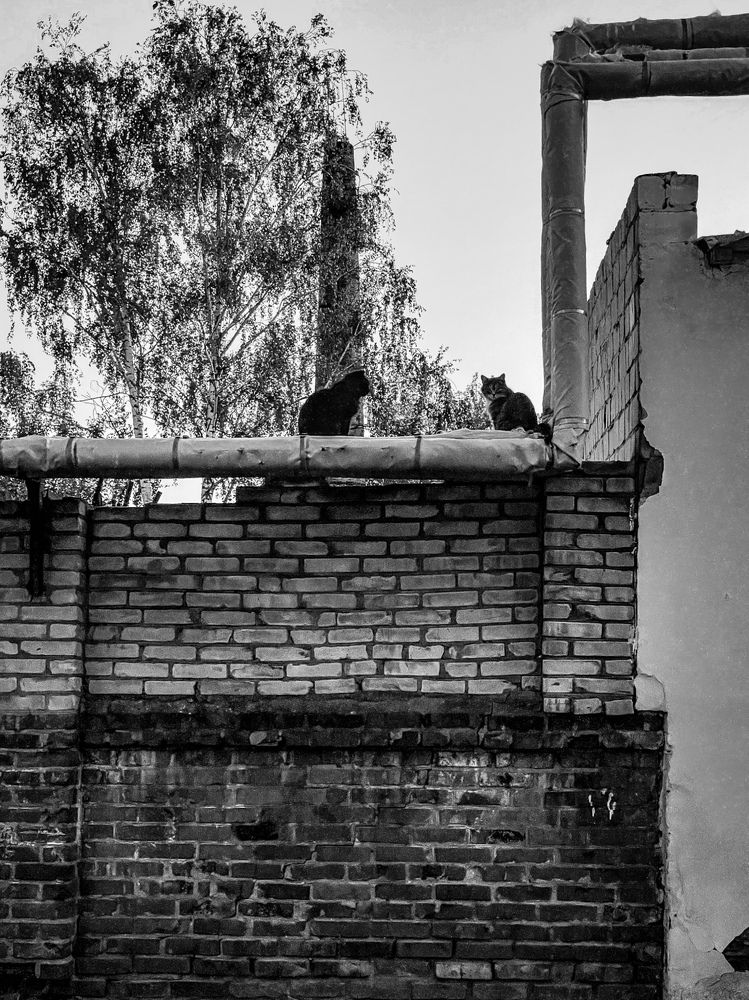 Photograph by Анна Пигулевская