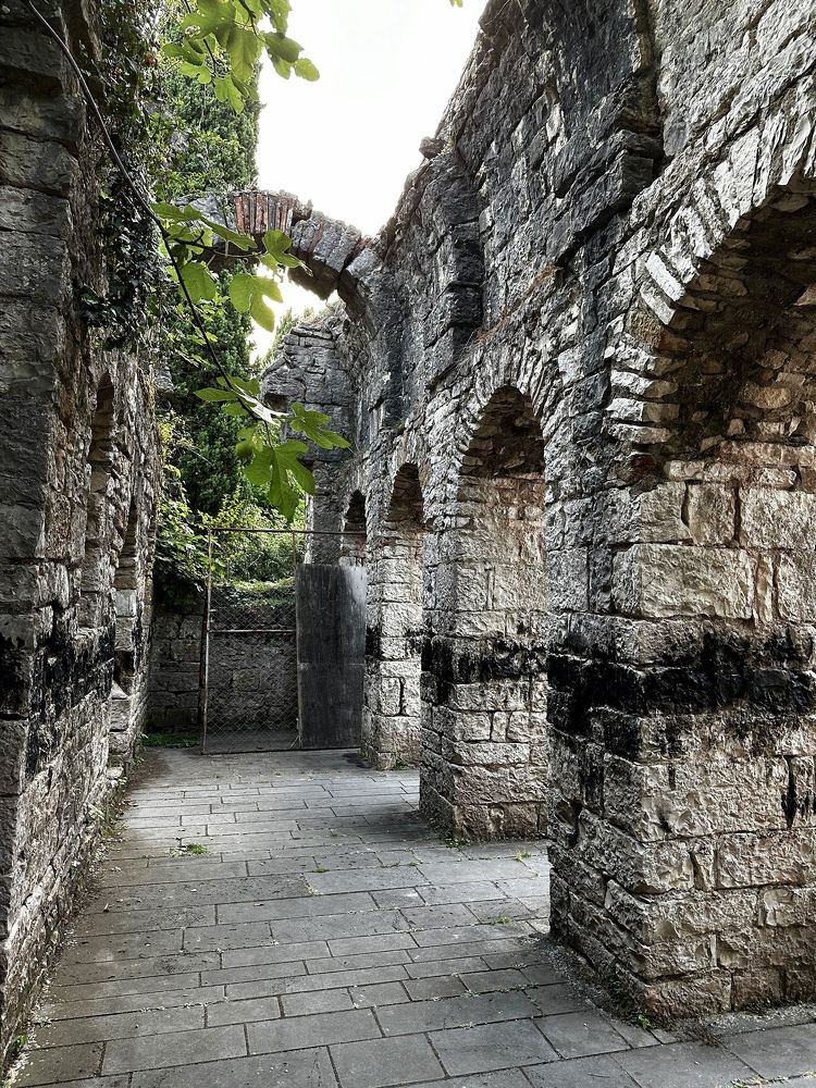 Photograph by Svetlana Rashidova