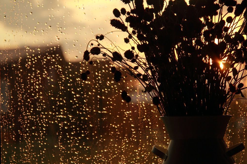 Photograph by Андрей
