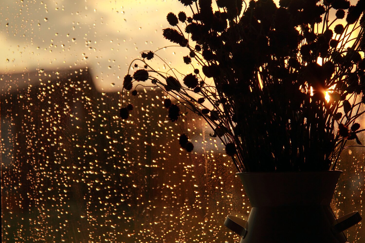 Photo #10759455
