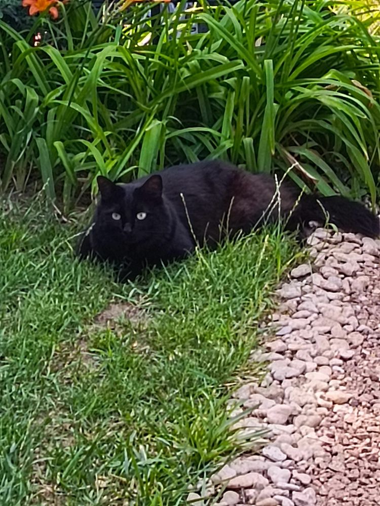 Photograph by Татьяна Пальчикова