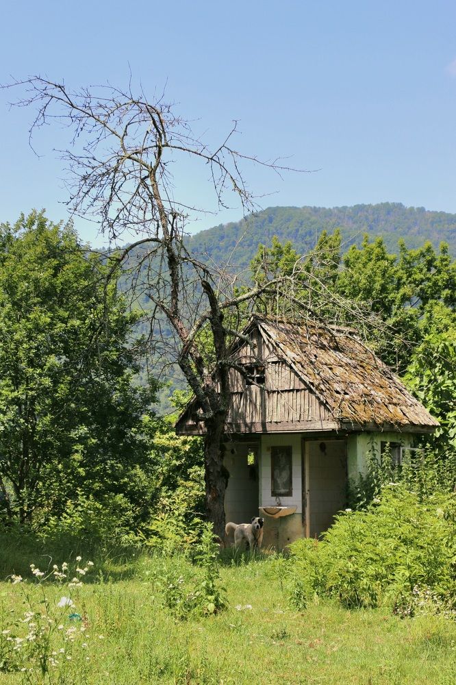 Photograph by Анастасия Свиридова