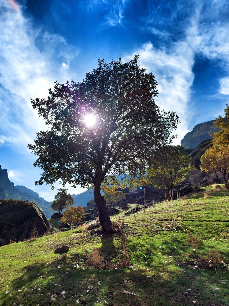 Photograph by behroz yavariyan