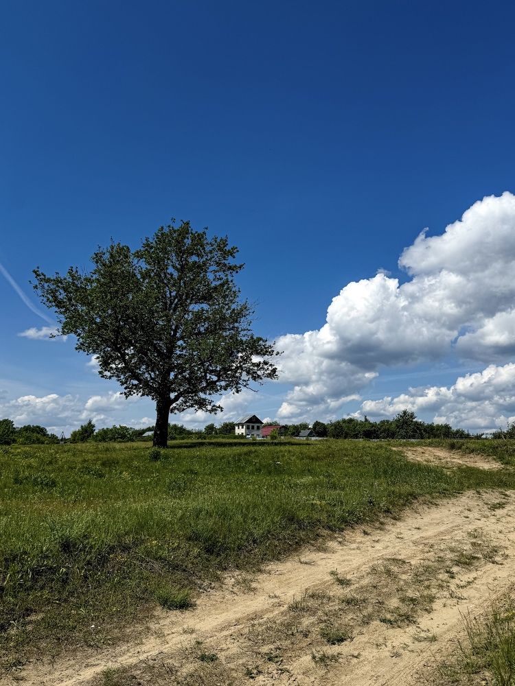 Photograph by Татьяна Зенина