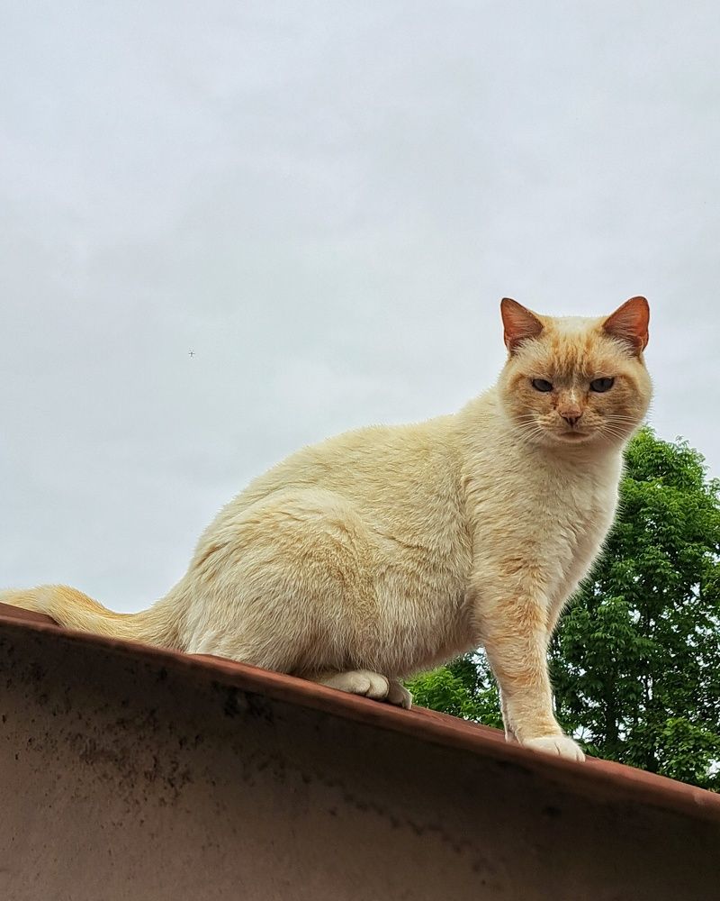 Photograph by Оксана Юдина