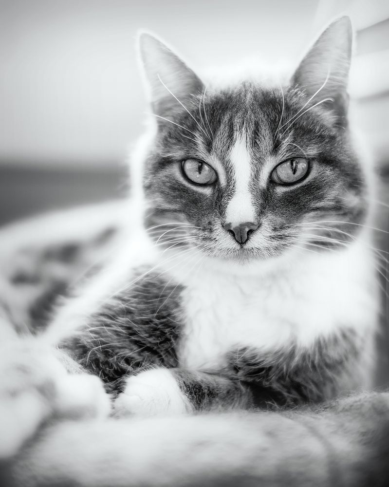 Photograph by Victor Stepanov