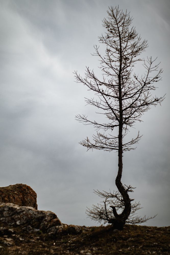 Photograph by Elena Kilina