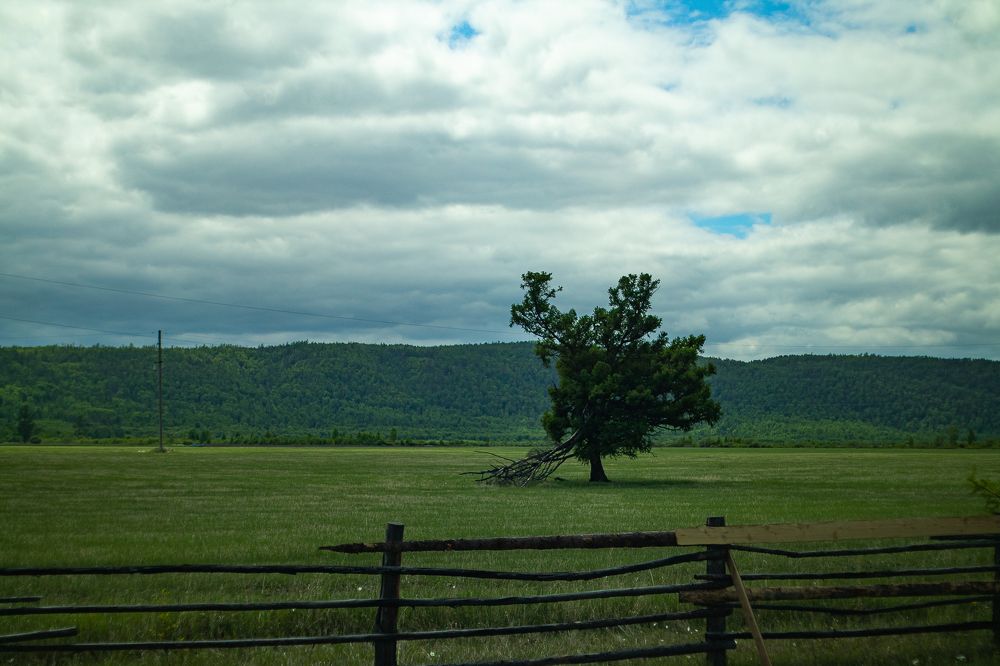 Photograph by Elena Kilina