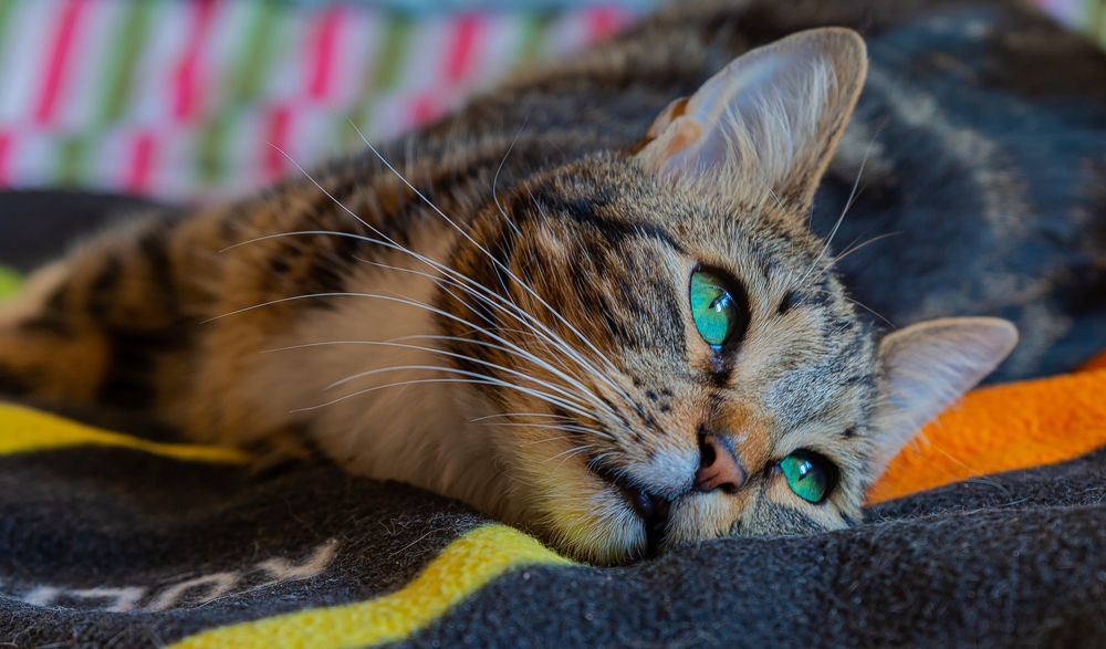 Photograph by yuri kutukov