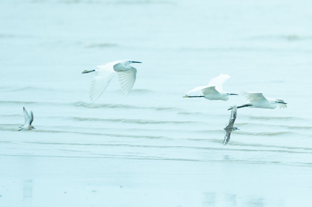 Photograph by SOUVIK PAL