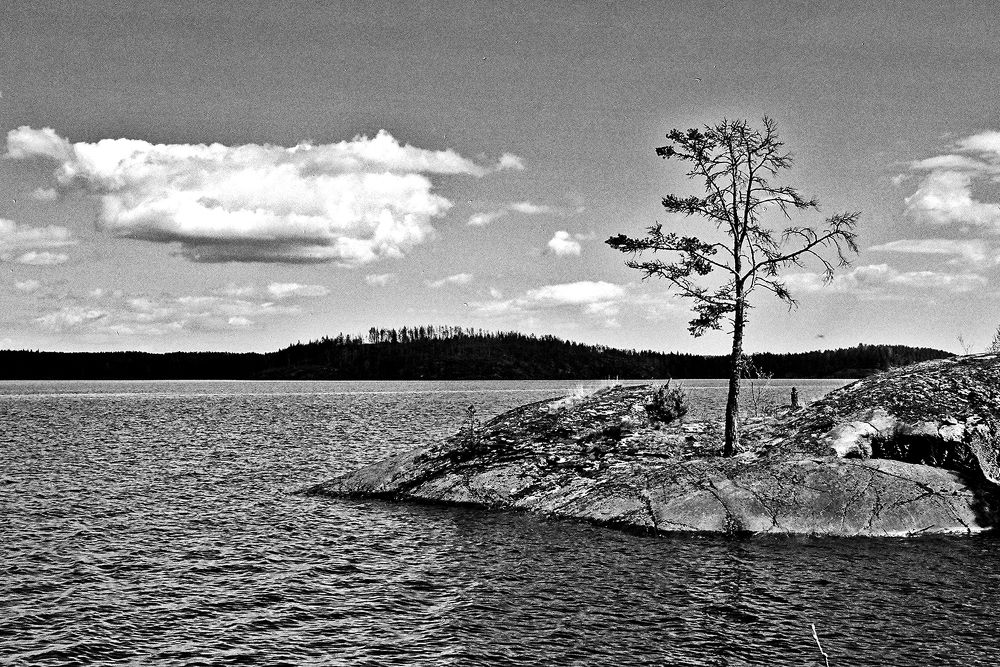 Одинокий остров