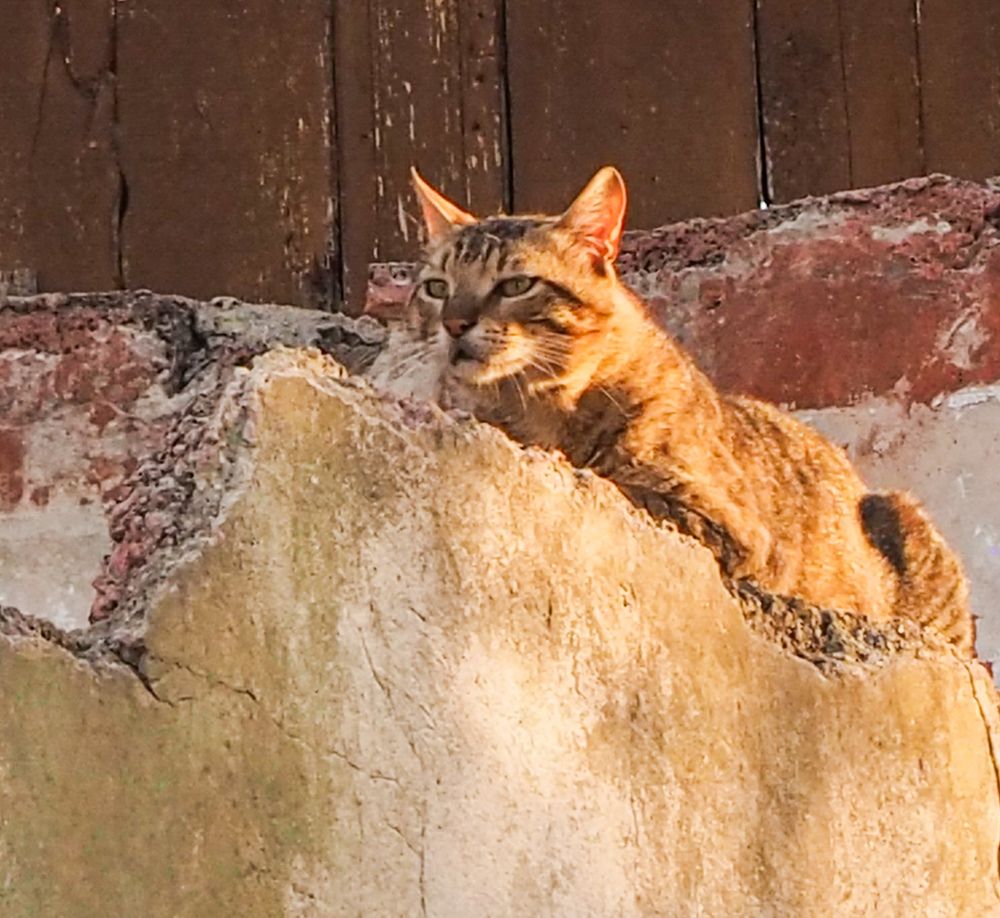 Photograph by Irina Ebral