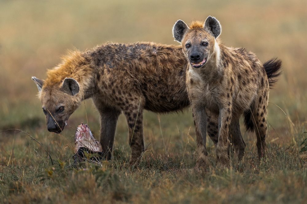 Photograph by Ahmed Sobhi