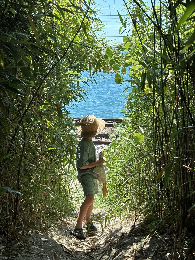 Photograph by Диана Думиника