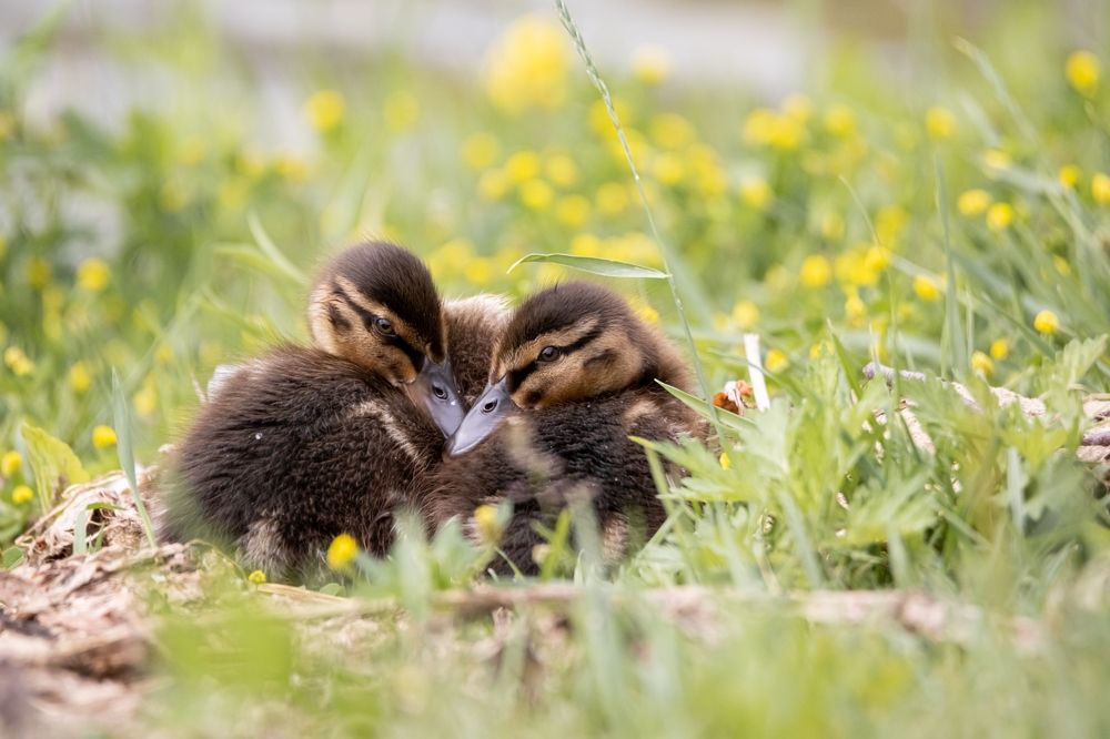 Photograph by Александр Белов