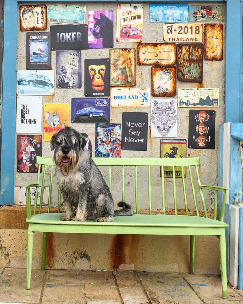 Photograph by lev senter