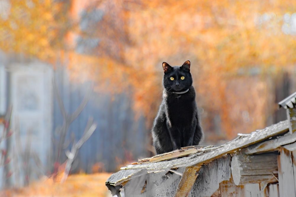 Photograph by Дарья