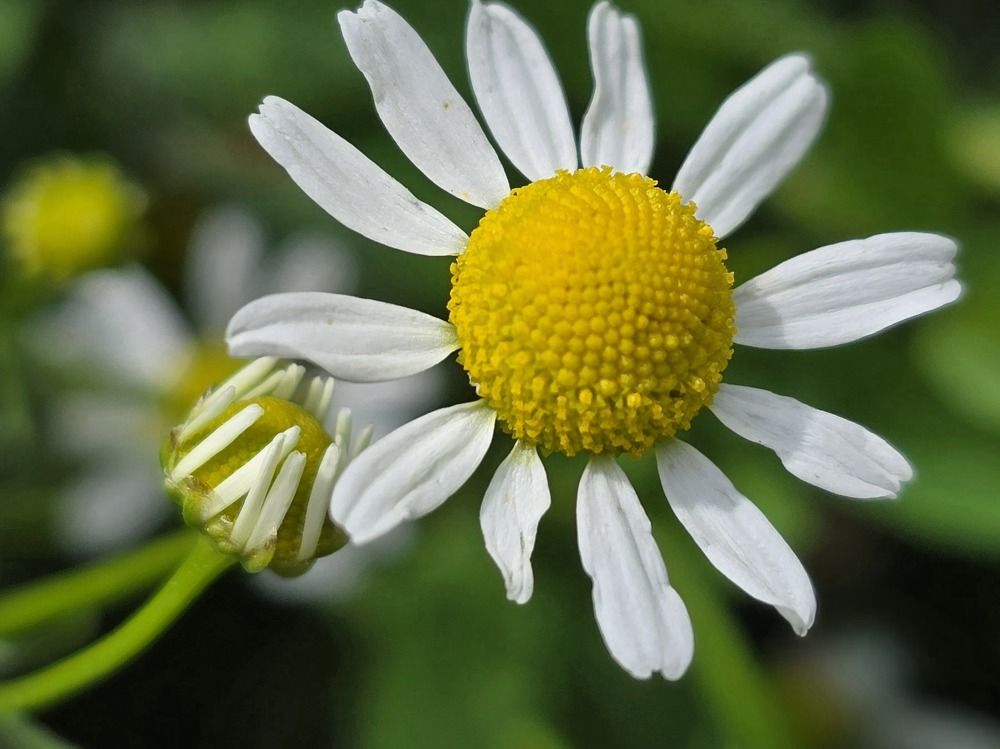 Photograph by Żółtowska Karolina