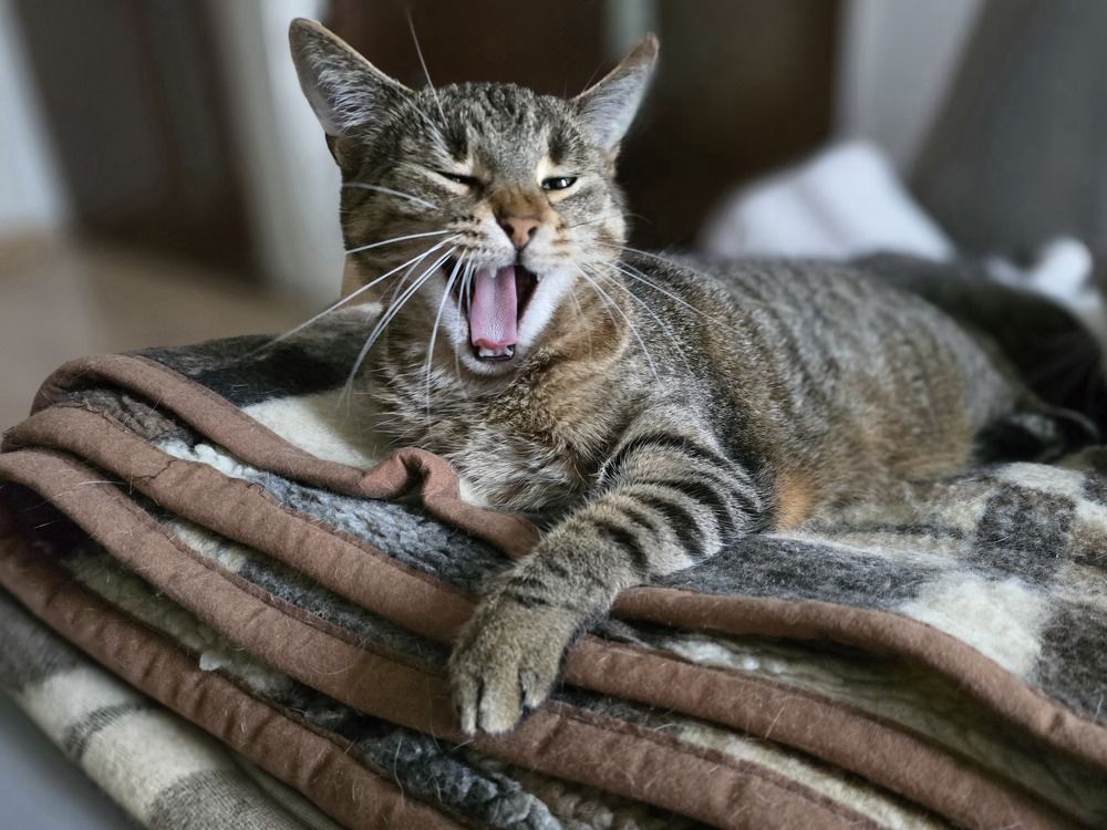 Photograph by Żółtowska Karolina