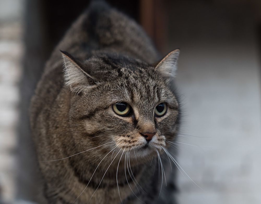 Photograph by Ирина Яук