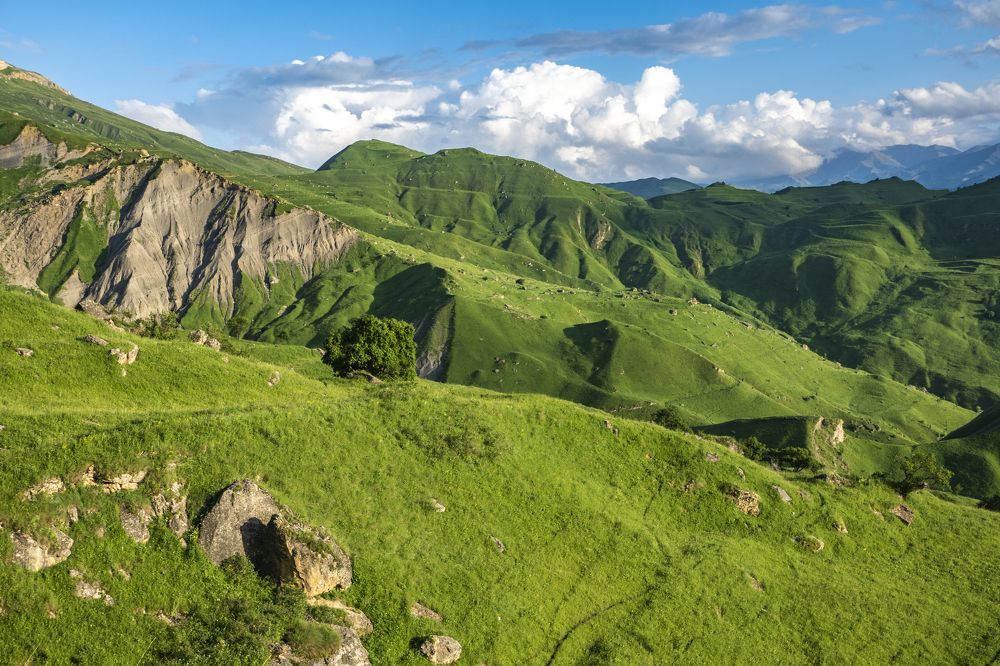 Photograph by Меркулова Наталья Геннадьевна