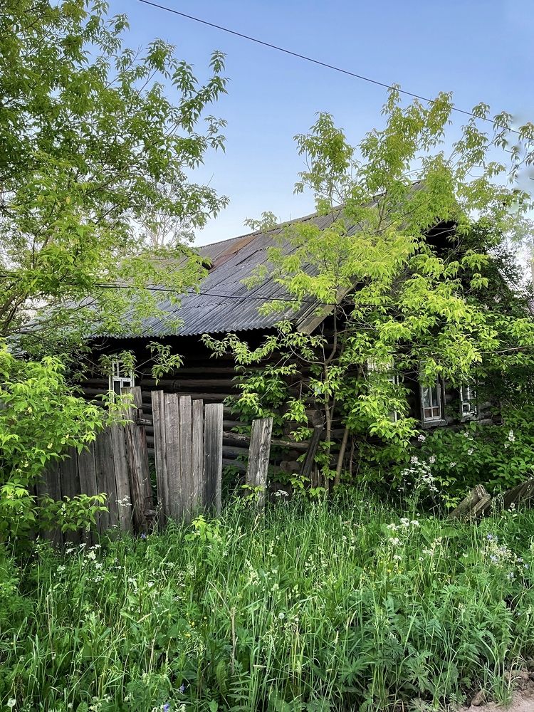 Photograph by Ирина Селиверстова