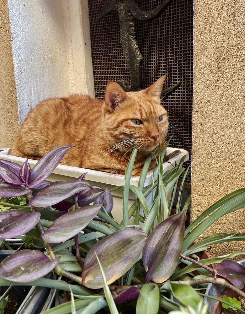 Photograph by Marina Odintsova